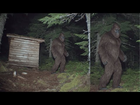 PROOF of SASQUATCH Hunting Humans in National Parks - Bigfoot Horrifying Encounter