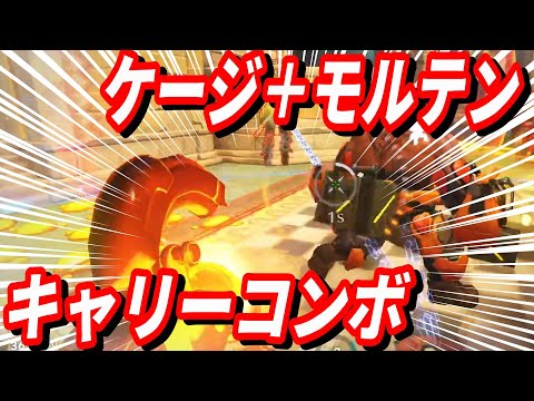 ケージ＋モルテンのキャリーコンボ(TOP500 TORB)