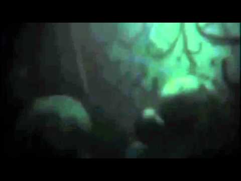 rare outlast 2 alpha footage