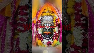 Shivratristatus2024 #Shiv #status #viral #trending  #shivratristatus