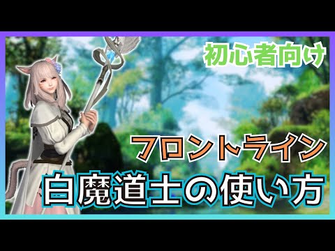 【FF14】フロントライン！白魔道士のスキル・立ち回りについて初心者向けに解説【PvP/6.5】