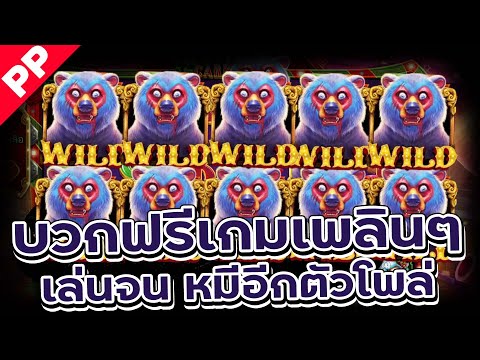 สล็อต PP ✨ZOMBIE CARNIVAL✨ wild เข้าถูกจังหวะเต็มๆ