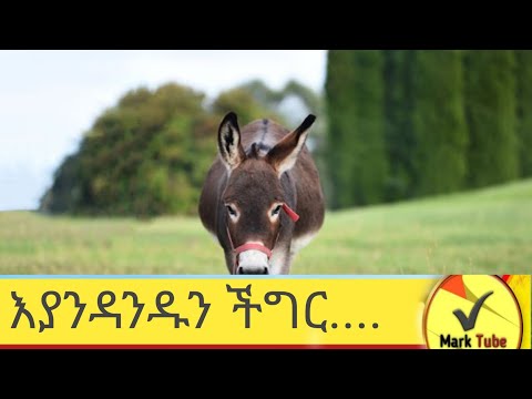 አህያዋ እየቀበራት መሆኑን ሰትረዳ በጣም አዘነች#inspiration #motivation #lovestory #storytime #life #