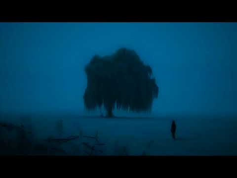 solitude, focus and peace. (dark ambient music playlist)