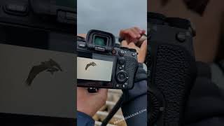 Elevate your Nikon Z9 experience