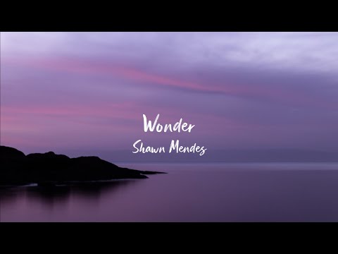 Shawn Mendes - Wonder (Lyrics)