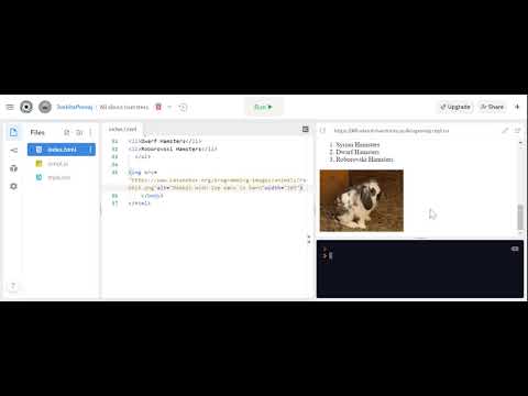 HTML BASICS || IMAGES