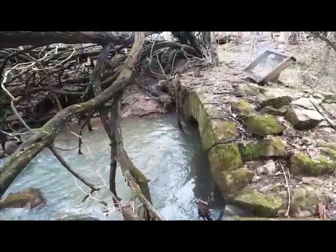 Metal Detecting Adventure #creepy #unexpecteddiscovery
