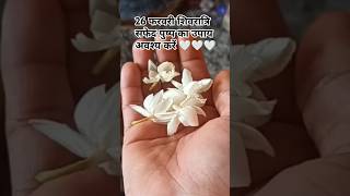 शिवरात्रि के दिन सफेद पुष्प का उपाय #pandit_pradeep_ji_mishra #upay #shorts #shiv #katha @sairadha