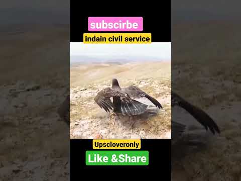 #Upscmotivetion#Ias#ips#Lbsnaa