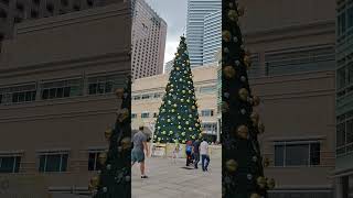 Skating around the CHRISTMAS TREE @SURIA KLCC 🌈🌈🌈 #shorts #foryou #youtubeshorts #shortsfeed