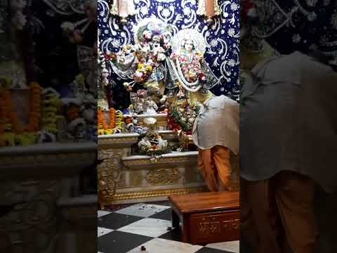 ISKCON Vrindavan  Kartik Maas #iskcon #krishna #radhakrishna #radha #harekrishna