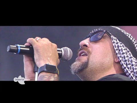 Prophets of Rage - Pinkpop 2017 (HD Live Show)