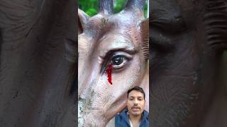 Dear 🦌#dear #animals #nature #wildlife #emotional #shorts
