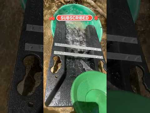 #Short - Finding Gold with a Dream Mat Big Cell!