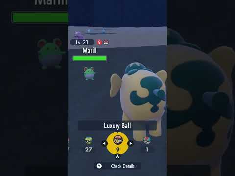 💚SHINY MARILL!💚 | #shorts  #pokemon #shiny