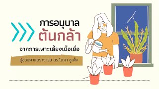 การอนุบาลต้นกล้าที่ได้จากการเพาะเลี้ยงเนื้อเยื่อพืช