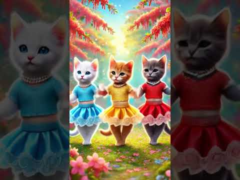 Cute Cat Dance 😺 | Erabadu Mal Pipila #awurudu #catdance #erabadumal #shorts