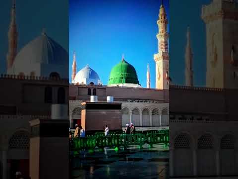Jashn e Amad e Rasool - Farhan Ali Qadri #islam #freepalestine #shorts #youtubeshorts #shortvideo