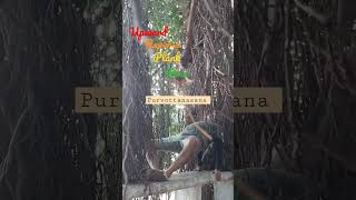 upward reverse plank pose [ 2022 ] #purvottanasana