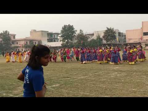 Cultural Dance Performance Unity in Diversity Hindu Vidyapeeth School #sonepat #dance #events