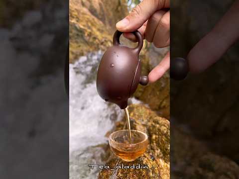 #tea #teaceremony #teaculture #puer #nature #waterfall