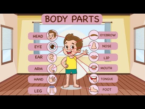 Names of body parts | Body parts | English syllabus | @Lifeofkids-lg3ez