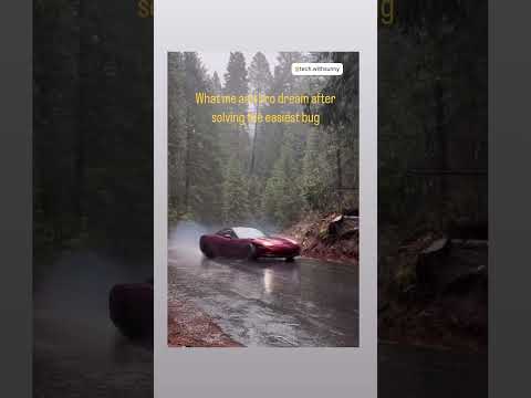 solved a bug, now manifesting a lambo #trending #shorts #funny