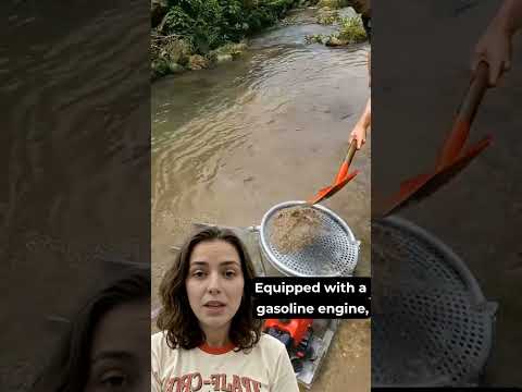 Every speck of gold you find is a step toward a richer tomorrow.