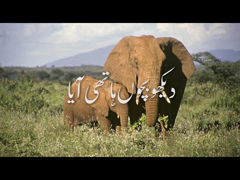(Poem) Dekho Bacho Hathi Aaya - For Kids