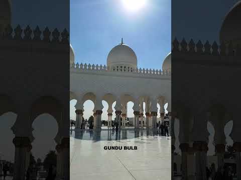 #muslim #muslimstatus #muslimah #trending #dubailife #trendingshorts #uae #abudhabi #tamilvlog #love
