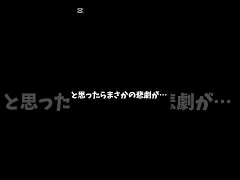 購入品紹介💭💞最後に悲劇が…なんか鼻息多いです🤢💦#雰囲気#手元動画#購入品紹介#からぴち