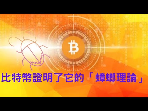 《經濟學人》蟑螂理論下的比特幣華麗逆襲 不死的金融小強 強勢回歸 比特幣不怕打擊 揭秘幕後推手 加密貨幣界的蟑螂們怎樣都打不死？