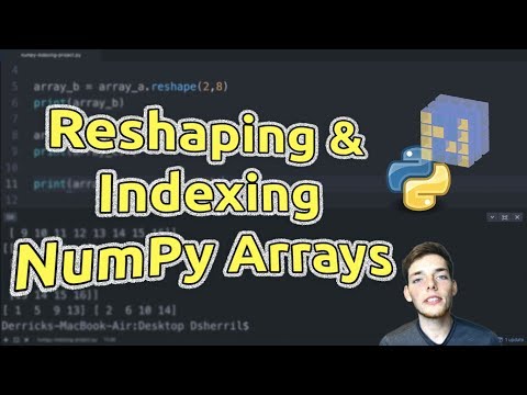 NumPy Basic Indexing & Reshaping Practice - Learn NumPy Series