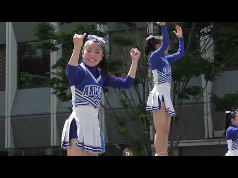 チアダンス福工大城東高校チアリーディング部博多どんたく2024年Cheer dance