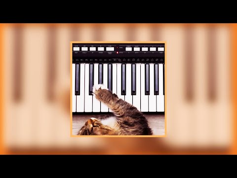 Keep Shelly in Athens - You've Got A Kitty On A Timer