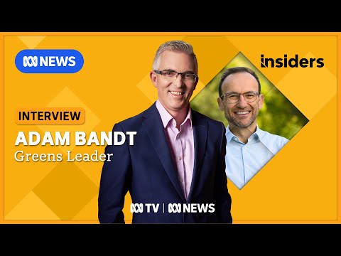 Australia 'becoming a less safe place' says Greens leader | Insiders | ABC News