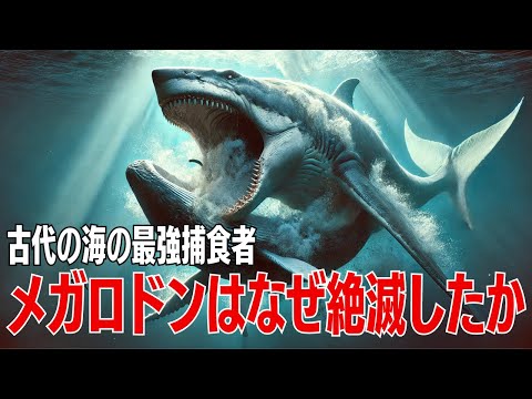 消えた海の巨人：メガロドンの謎