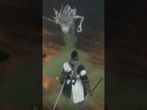 Random Sekiro moment