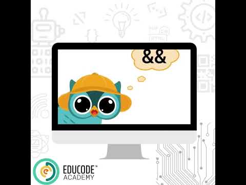Overview of EduCode Academy's video tutorial