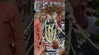 Phool Bangla Darshan Shri Banke Bihari Ji Vrindavan, Mathura 2023 || Shri Mathura Ji