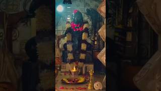 jai baba balak nath ji🙏🏻🦚🦚🙏🏻#jaibabedi #jaibababalaknathji  #deotsidh #jaibababalaknathji #ponahari