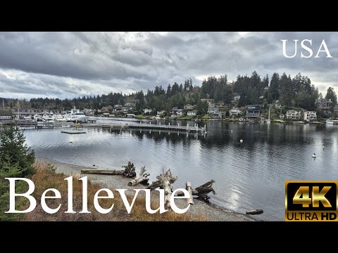 Exploring Bellevue, WA, USA I 2025 I 4K