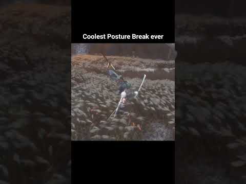 Sekiro the Coolest Posture Break ever