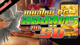 สล็อต PG : สูตรสล็อต สล็อตทุนน้อย สล็อตแตกง่าย [เกมใหม่ ไก่ค่ายพีจี ]😱😱😱Rooster Rumble ทุน50 แตกโครต