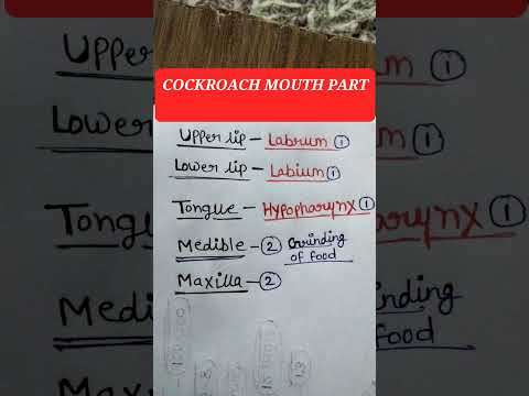 Coacroch mouth parts NCERT #ytshorts #neet #trending #shorts #tricks