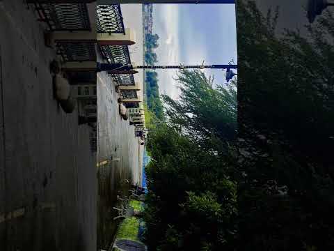 Rishikesh Walk ❤️.#reelsinstagram #ytshorts #ytviral #ytshortsvideo #ytool #cinematic