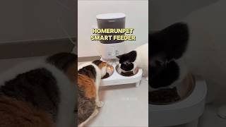 Smart pet feeder🐱 #petfeeder #pethack #pethacks #smarttechnology #smarttech #smartpetfeeder #fyp