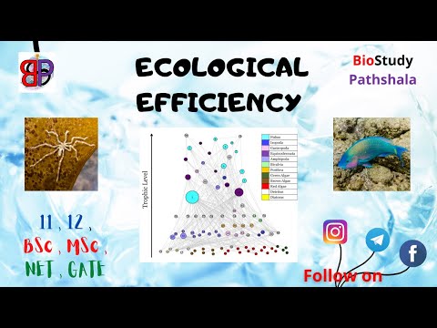 ECOLOGICAL EFFICIENCY || Ecology || Life Sciences || Biology