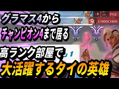 グラマス4からチャンピオン4まで居る高ランク部屋で大活躍するタイの英雄(TOP500 TORB)